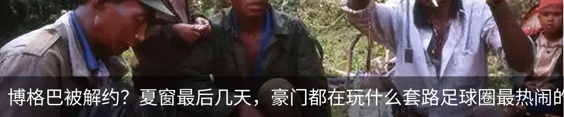新闻动态