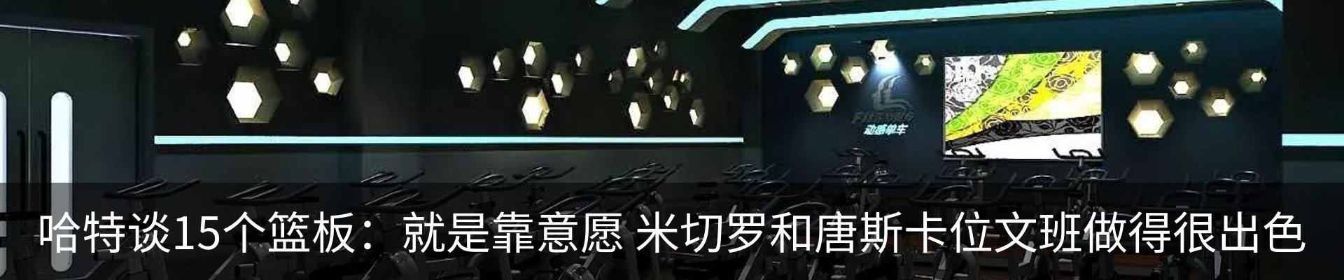 新闻动态