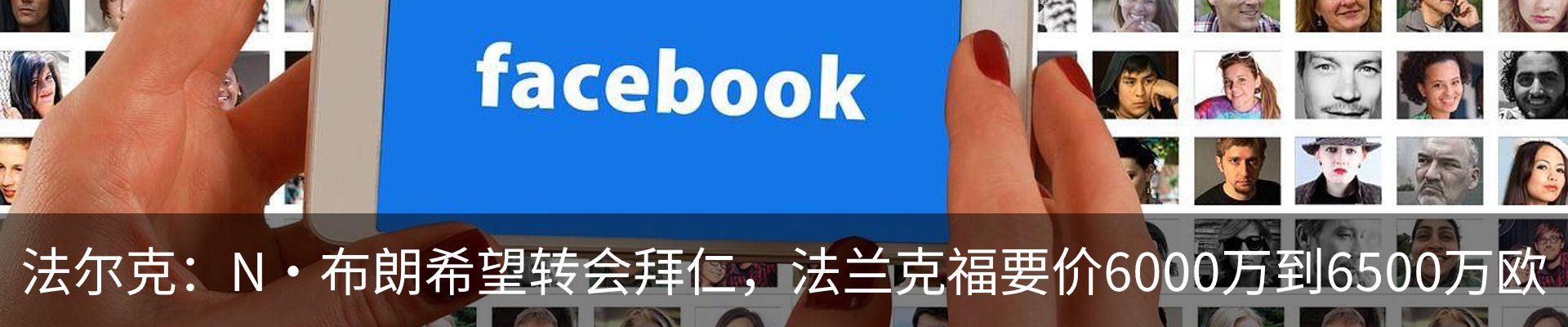 新闻动态