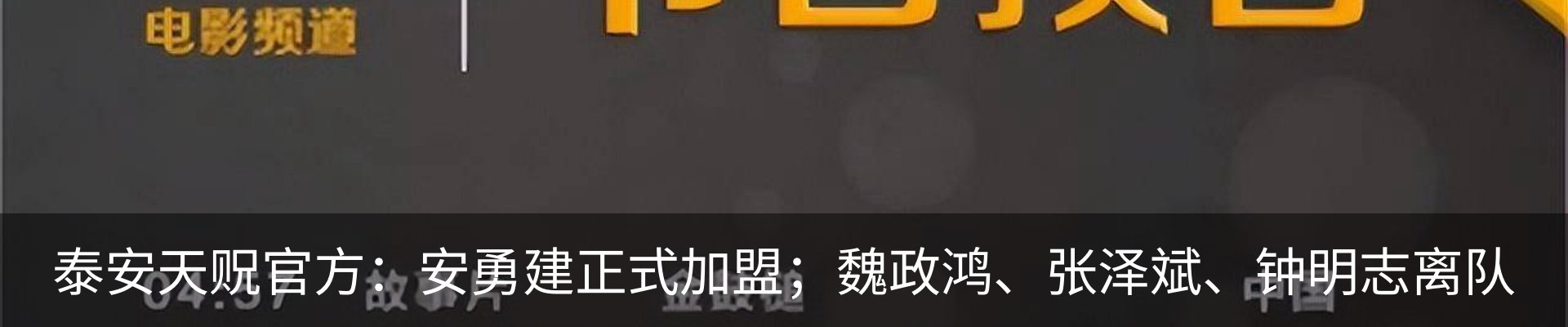 新闻动态