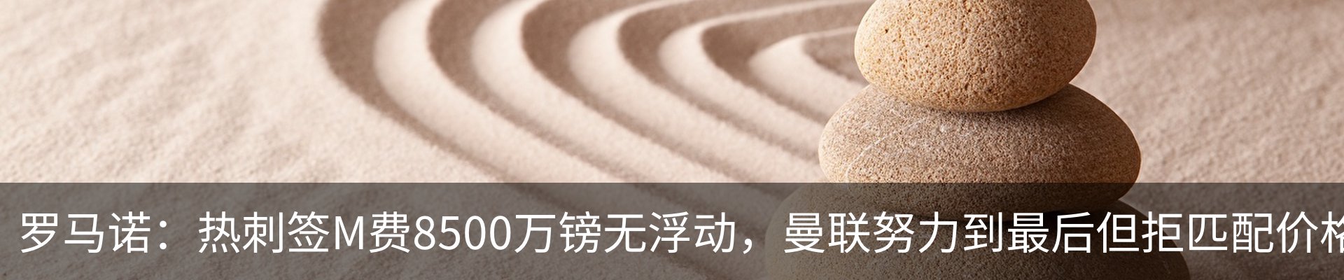 新闻动态