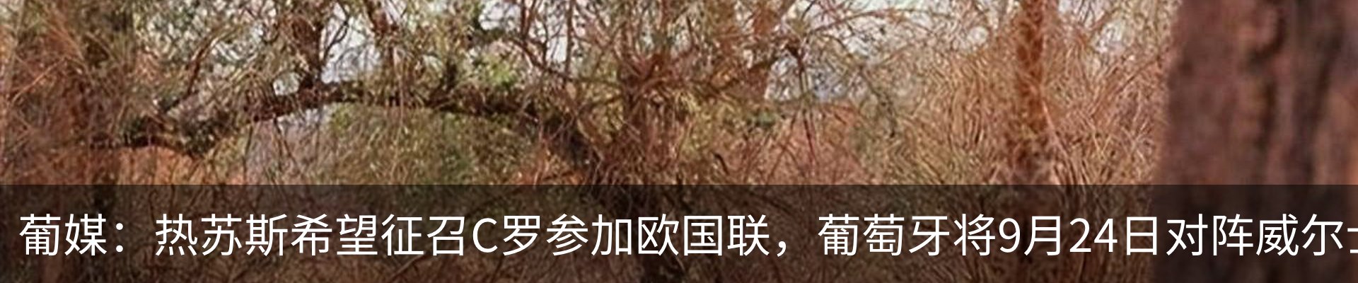 新闻动态