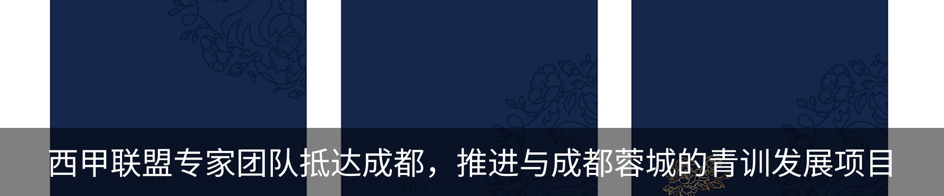 新闻动态