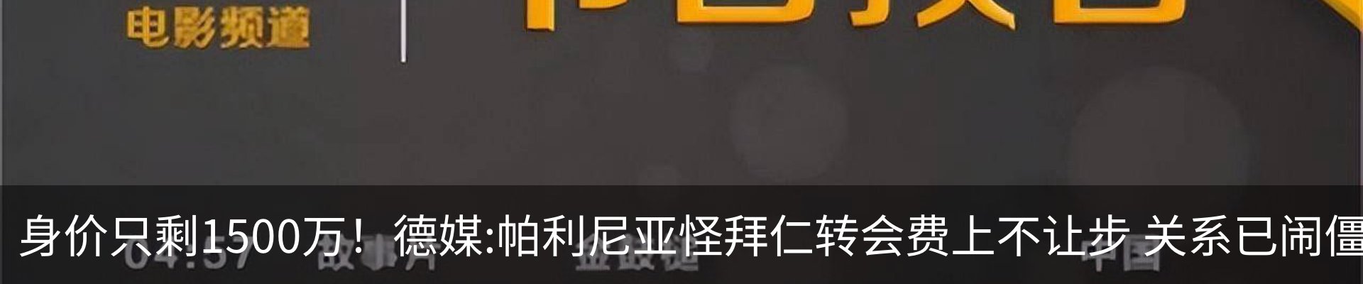 新闻动态