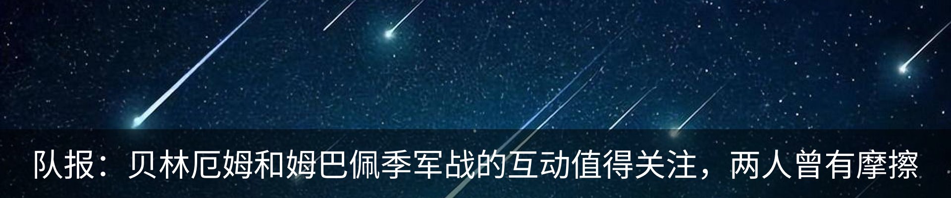 新闻动态
