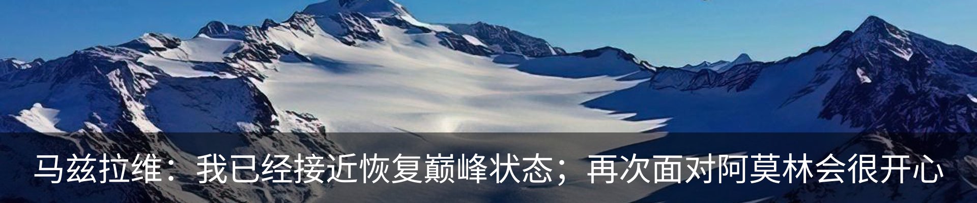 新闻动态