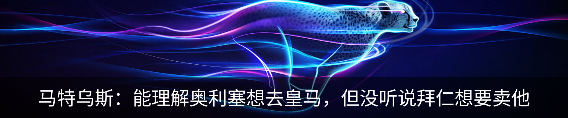新闻动态