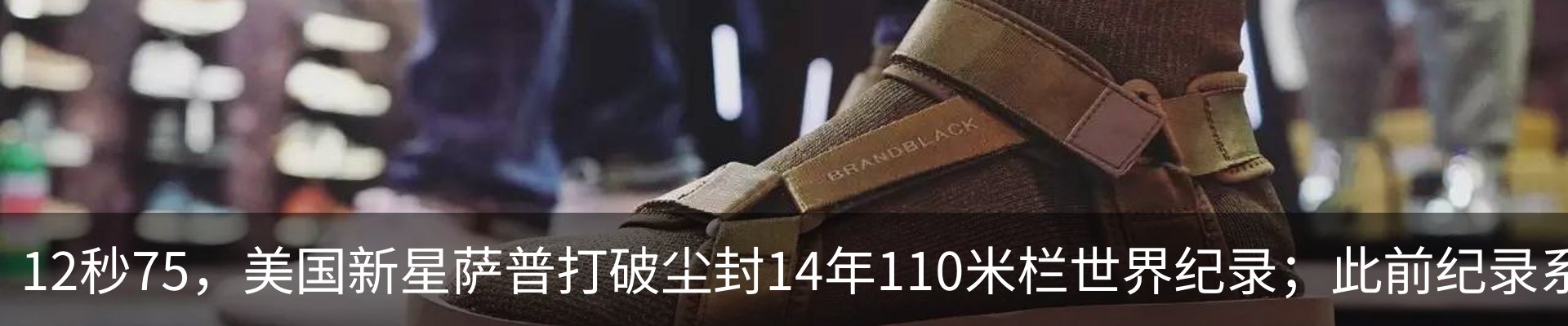 新闻动态