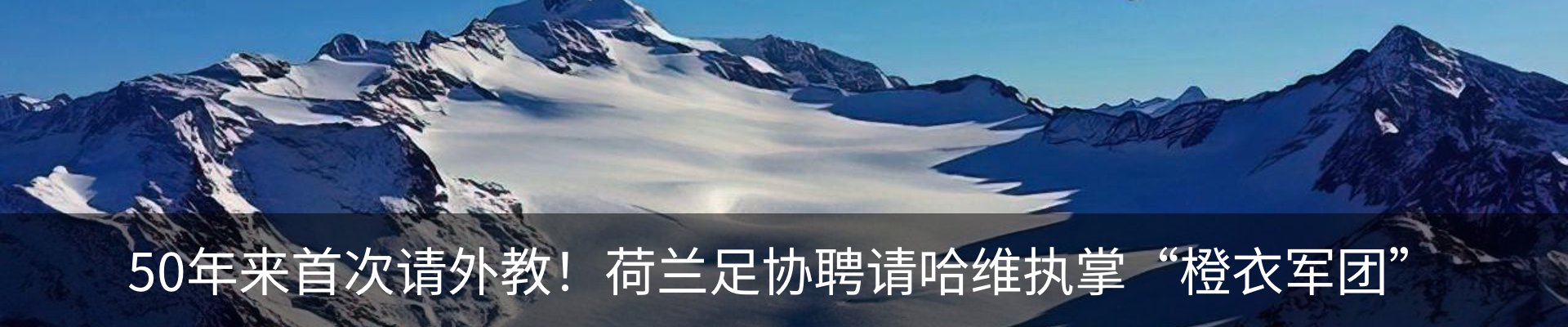新闻动态